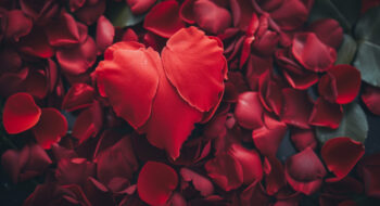 Vier de Liefde met Valentijnsdag